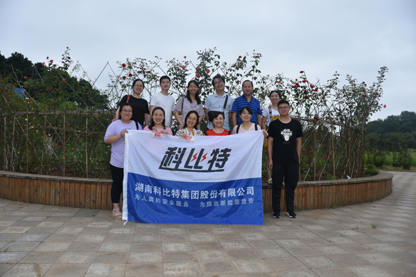 2019LD.COM防雷第二季度员工生日会