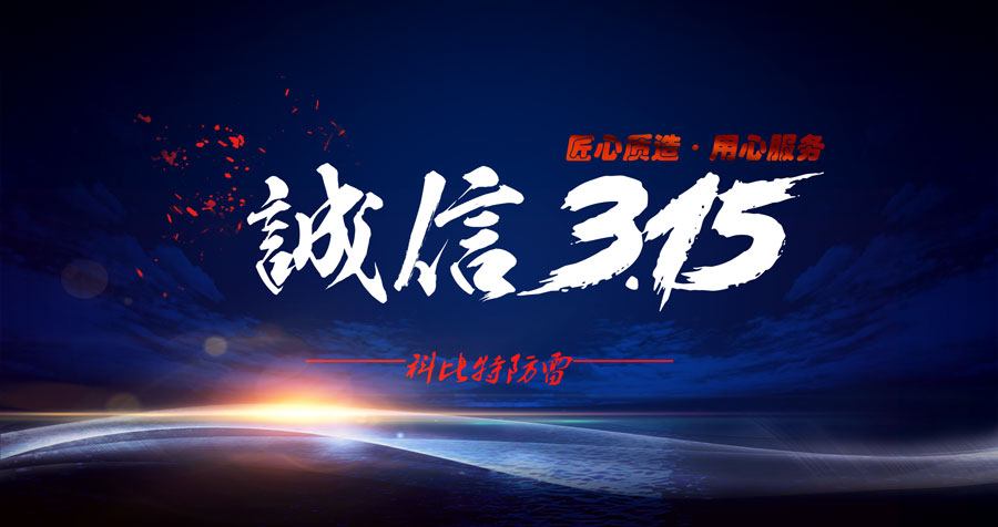 匠心质造、用心服务，LD.COM防雷天天315