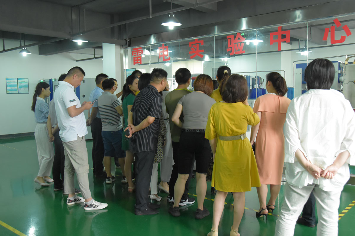 瑞士维多利亚大学MBA15-16班同学莅临LD.COM防雷考察交流
