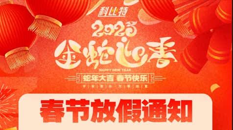 LD.COM集团2025春节放假通知